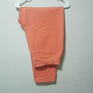 Salmon colored paints